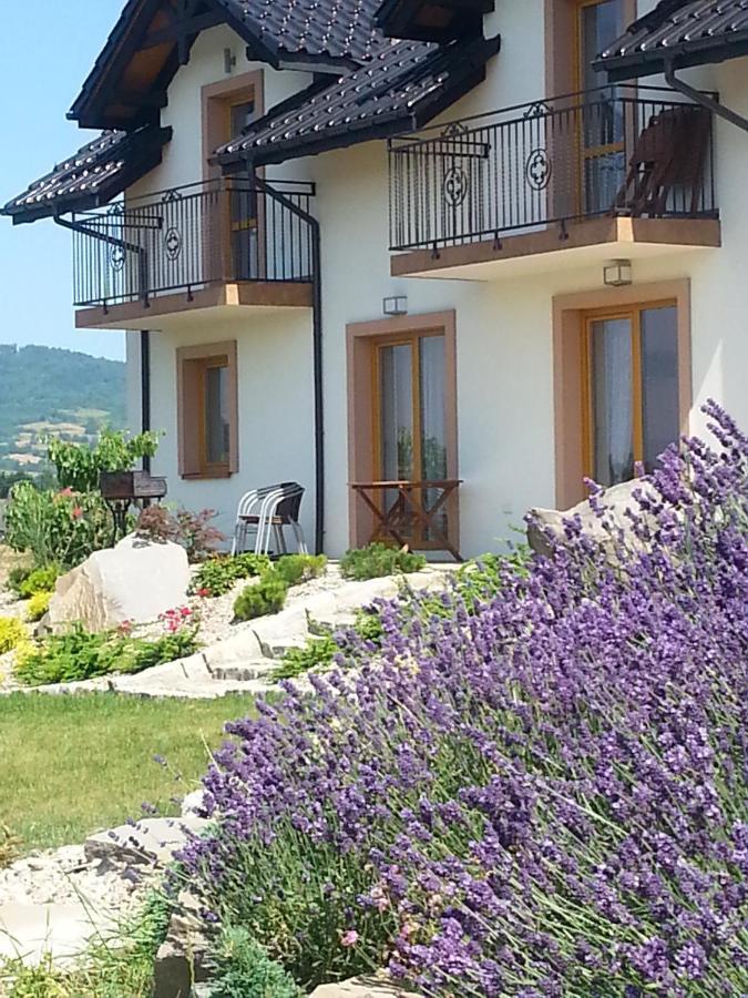 Domki Pod Magura Bystra  Εξωτερικό φωτογραφία